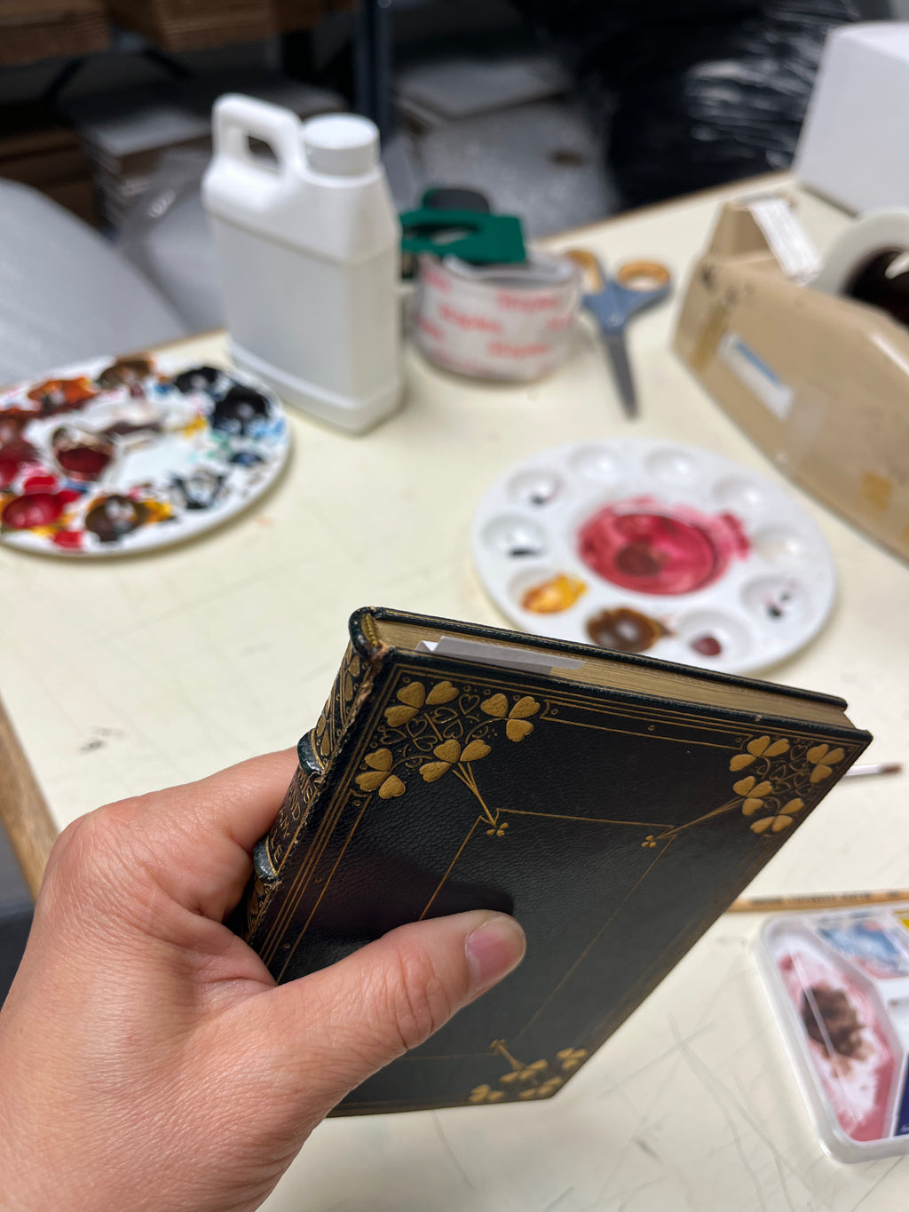 Book Repairs - Touch-ups