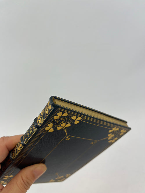 Book Repairs - Touch-ups