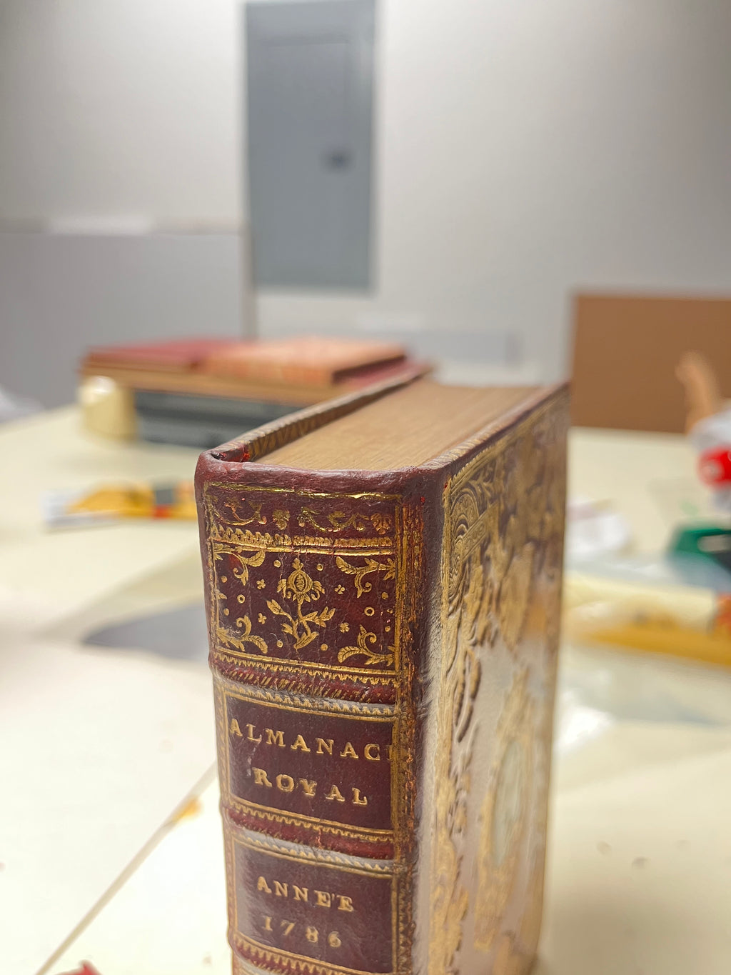 Book Repairs - Joints, hinges, minor loss of leather