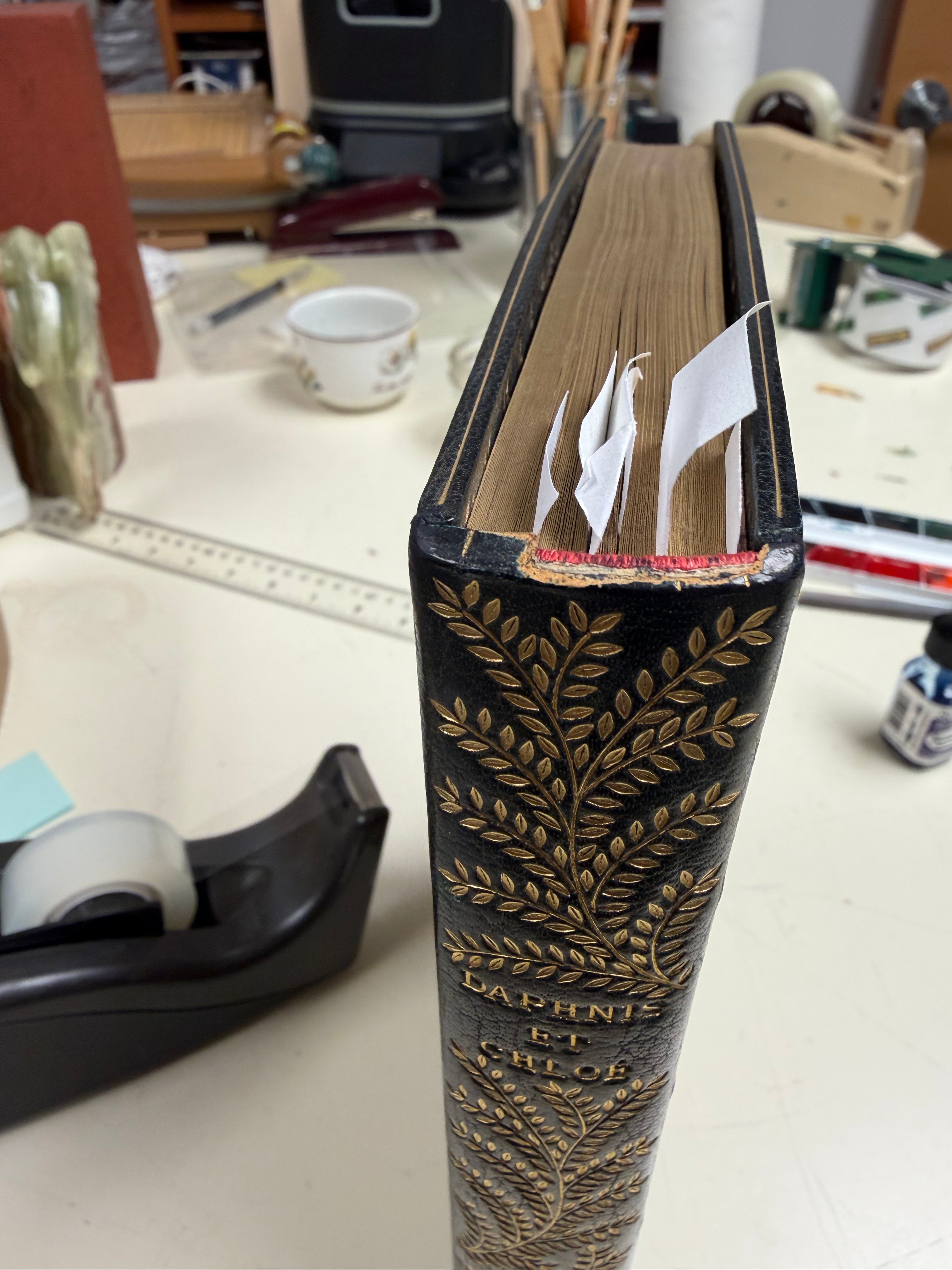 Book Repairs - Joints, hinges, minor loss of leather