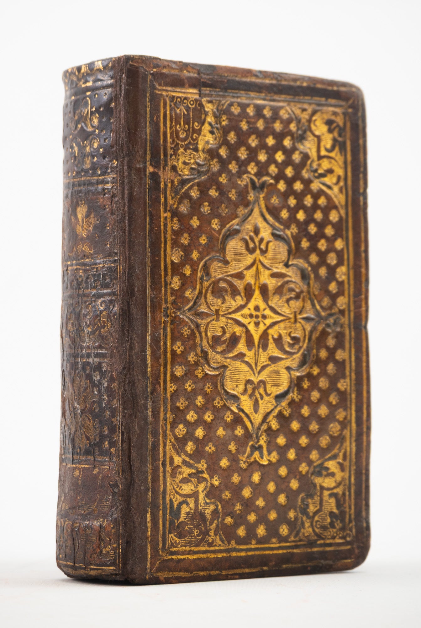 Book Repairs - Touch-ups