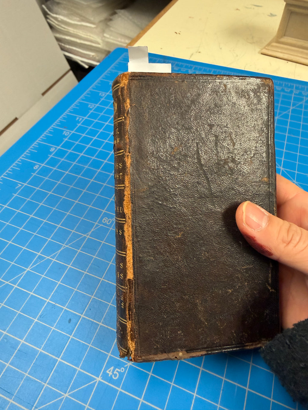 Book Repairs - Touch-ups
