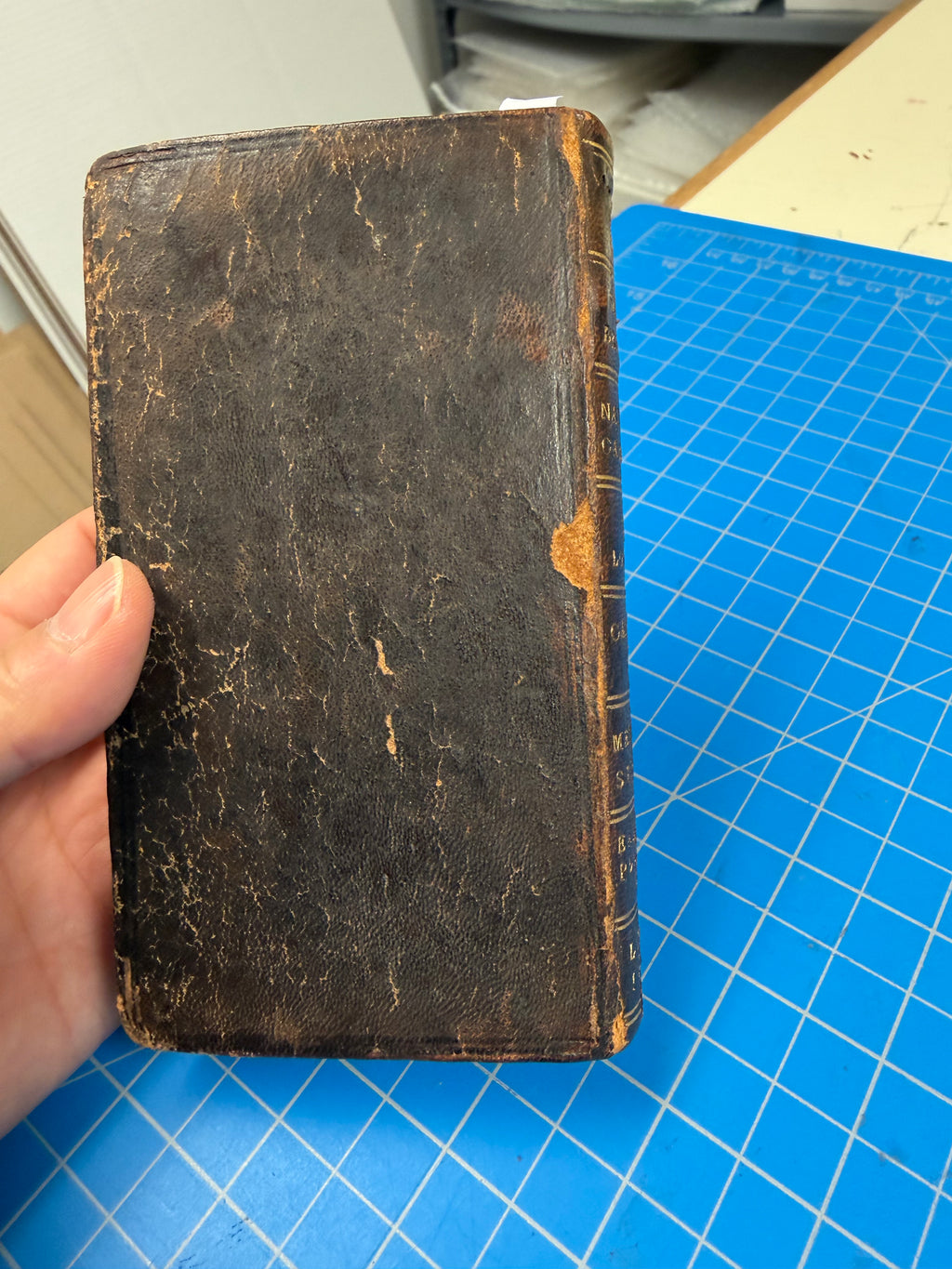 Book Repairs - Touch-ups
