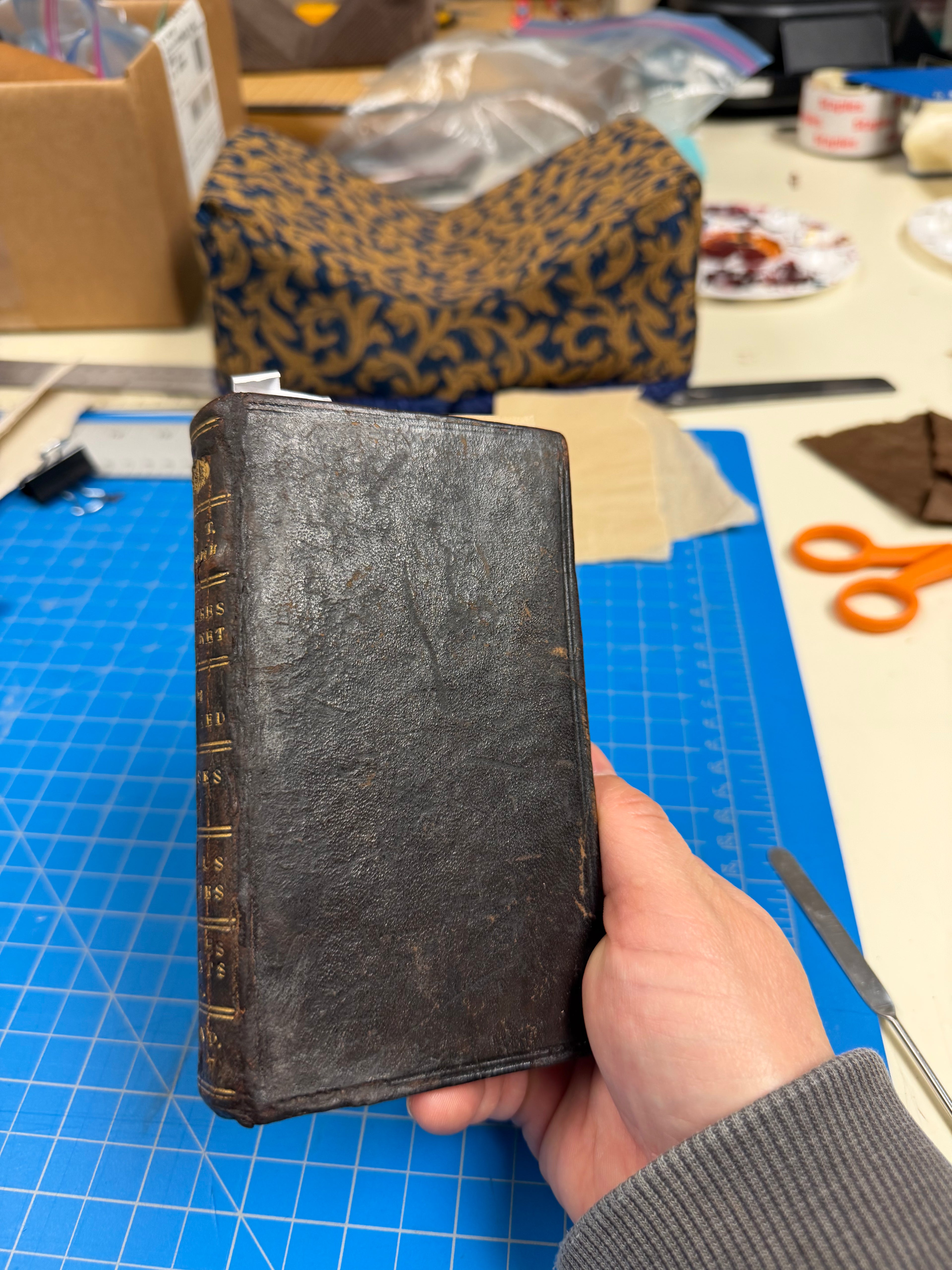 Book Repairs - Touch-ups