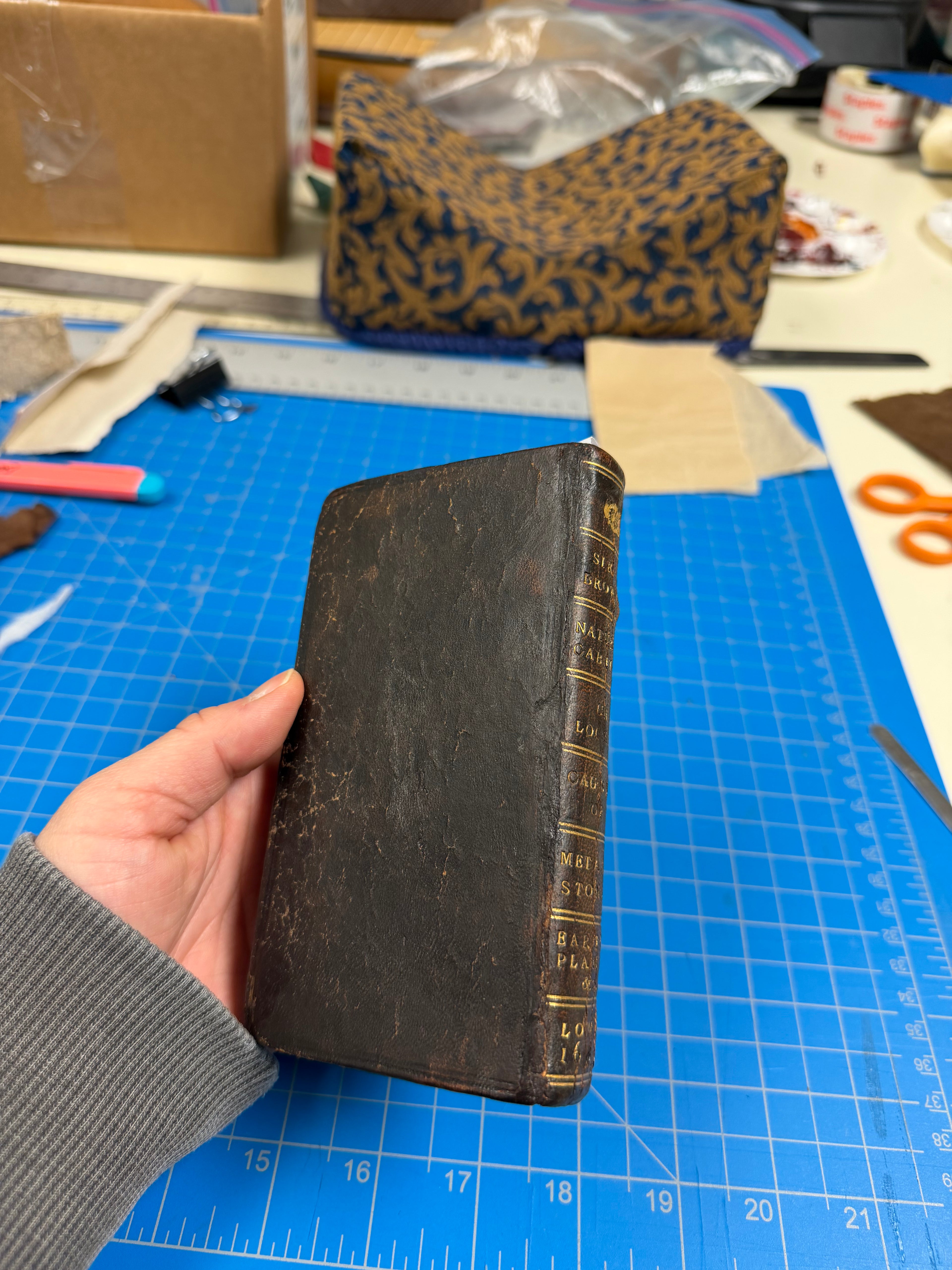 Book Repairs - Touch-ups