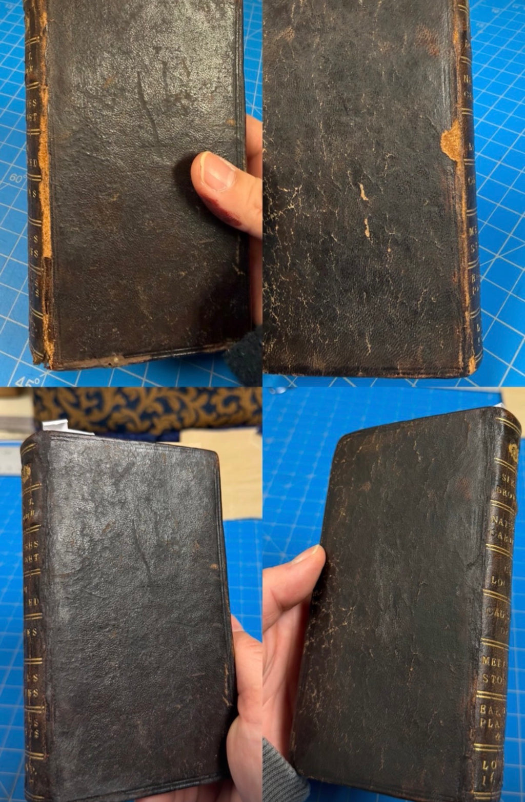 Book Repairs - Touch-ups